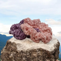 Hair Scrunchies